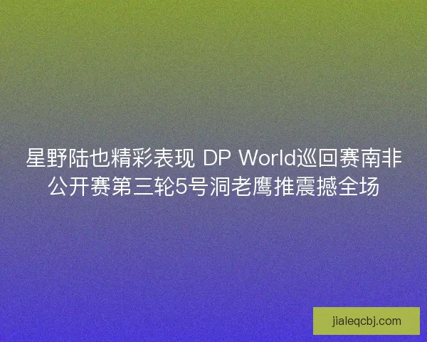 星野陆也精彩表现 DP World巡回赛南非公开赛第三轮5号洞老鹰推震撼全场