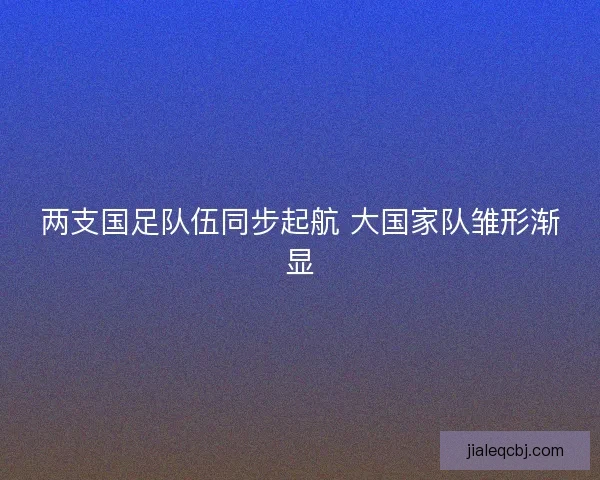两支国足队伍同步起航 大国家队雏形渐显